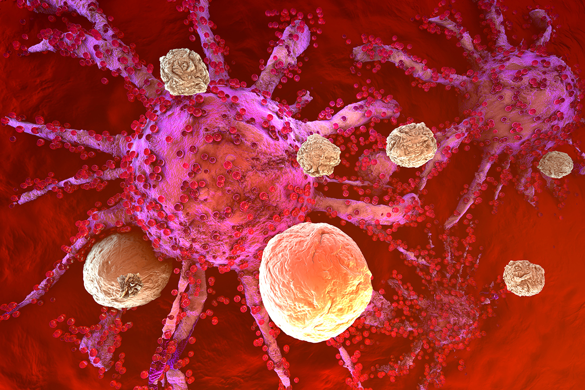 6 Important Parts of the Immune System to Know | Alliance for ...